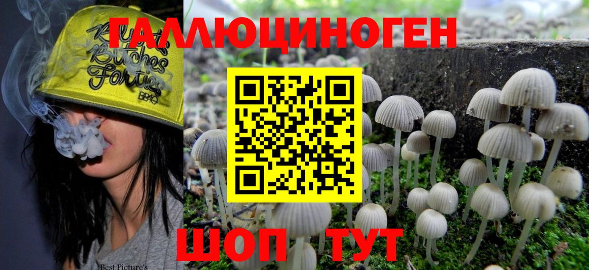 Галлюциногенные грибы ЛСД Черняховск