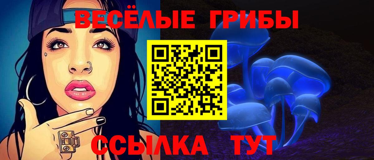 Псилоцибиновые грибы Psilocybine cubensis  Вход с VPN  Черняховск  Псилоцибиновые грибы мицелий 